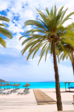 Mallorca Magaluf Magalluf beach Calvia Mallorca
