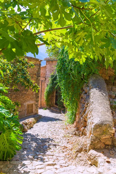 Villaggio Fornalutx a Maiorca Isole Baleari — Foto Stock