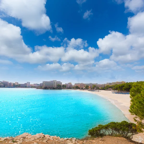 Mallorca Platja Palmanova stranden i Calvia Bol Teules — Stockfoto
