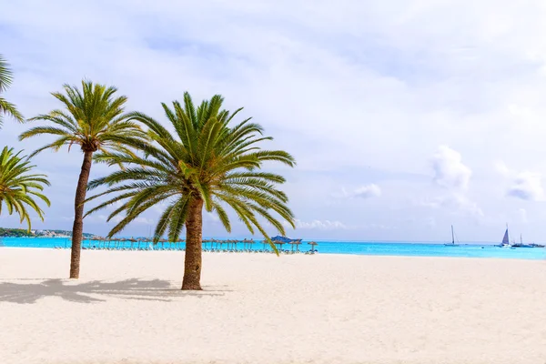 Mallorca platja palmanova strand in calvia bol teules — Stockfoto