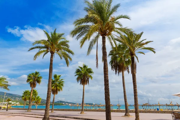 Maiorca Platja Praia de Palmanova Son Maties Maiorca — Fotografia de Stock