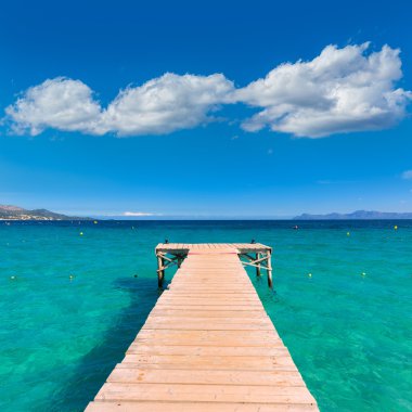 Mayorka Platja de Muro beach Alcudia defne Mallorca