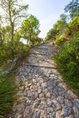 Mayorka Puig de Maria Pollenca Pollensa Mallorca