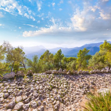 Mayorka Puig de Maria Pollenca Pollensa Mallorca