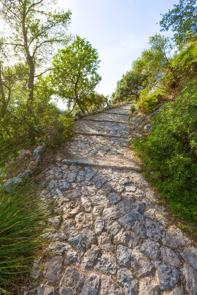 Mallorca Puig de Maria Pollenca Pollensa på Mallorca — Stockfoto