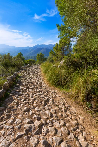 Maiorca Puig de Maria Pollenca Pollensa a Maiorca — Foto Stock