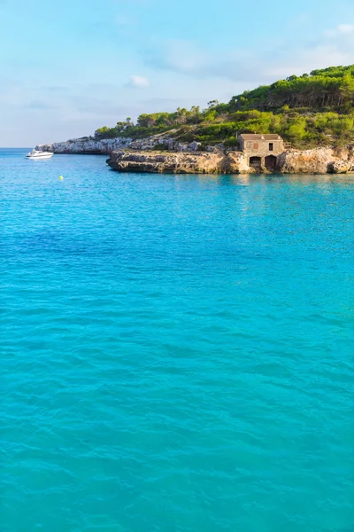 Mayorka samarador beach Mondrago Amarador — Stok fotoğraf