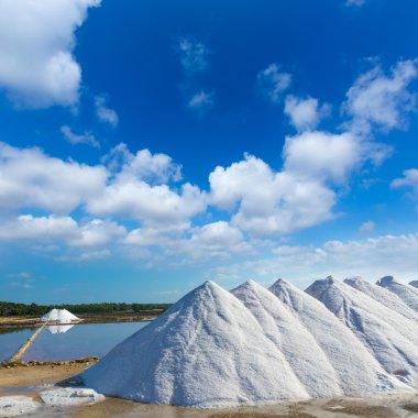 Mallorca Ses Salines Es Trenc Estrenc saltworks