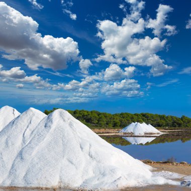 Mallorca Ses Salines Es Trenc Estrenc saltworks