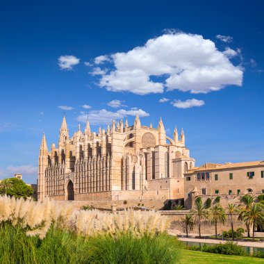 Majorca Palma Cathedral Seu Seo of Mallorca clipart