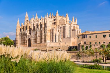 Mayorka Palma katedral Seu Seo Mallorca