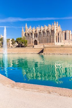 Mayorka Palma katedral Seu Seo Mallorca
