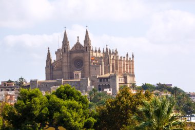 Palma de Mallorca Cathedral de la Seo Majorca clipart