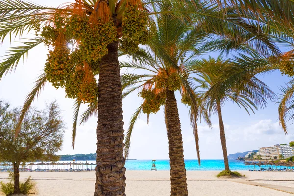 Mayorka Mallorca Cala Santa Ponsa Ponca beach — Stok fotoğraf