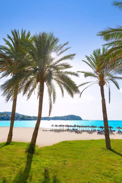 Maiorca Cala Praia de Santa Ponsa Ponca em Maiorca — Fotografia de Stock