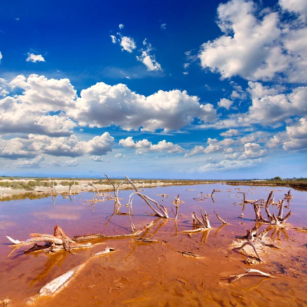 Balear Mallorca Es Trenc Ses Salines saltworks — Stok fotoğraf