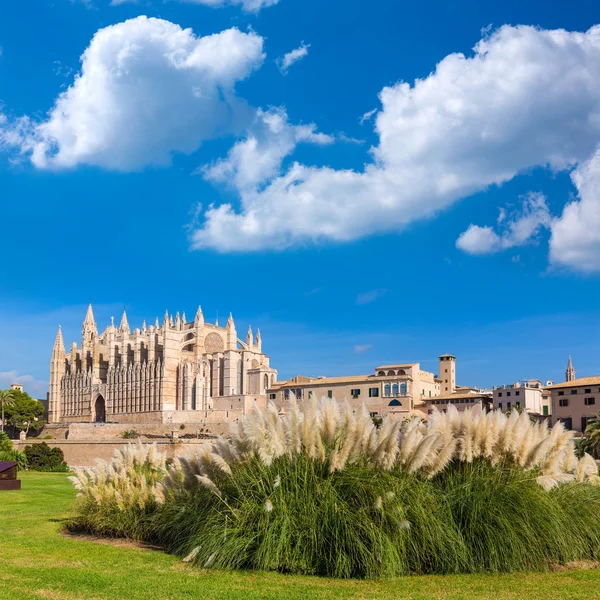 Maiorca Catedral de Palma Seu Seo de Maiorca — Fotografia de Stock