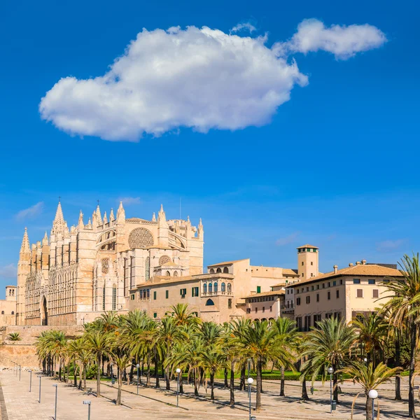 Maiorca Catedral de Palma Seu Seo de Maiorca — Fotografia de Stock