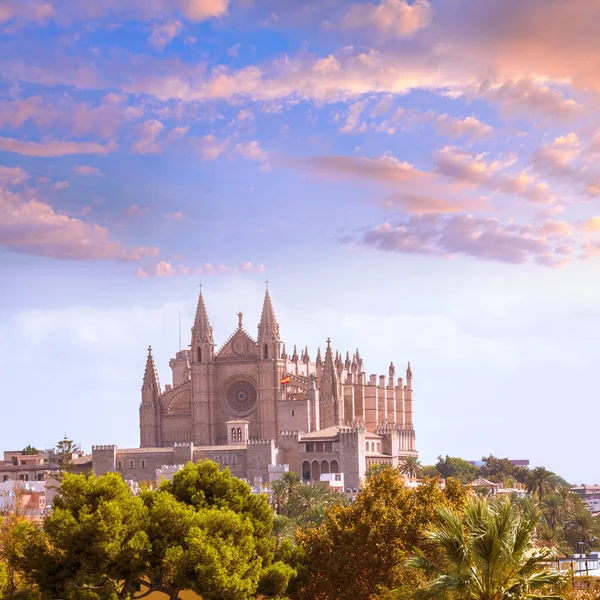 Palma de Mallorca kathedraal de la Seo Mallorca — Stockfoto