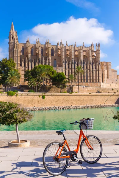 Majorca Palma Cathedral Seu and bicycle Mallorca — Stock Photo, Image