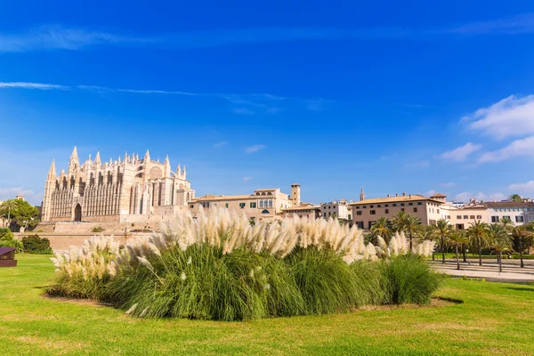 Mallorca Palma kathedraal Seu Seo van Mallorca — Stockfoto