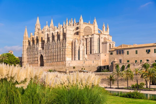 Mallorca Palma kathedraal Seu Seo van Mallorca — Stockfoto