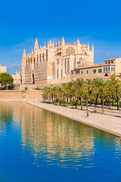 Maiorca Catedral de Palma Seu Seo de Maiorca — Fotografia de Stock