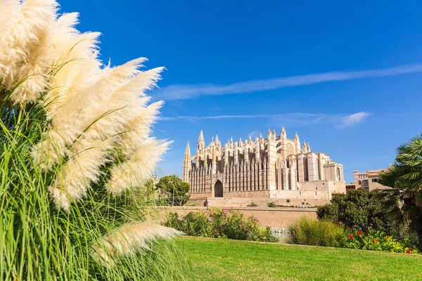 Maiorca Catedral de Palma Seu Seo de Maiorca — Fotografia de Stock