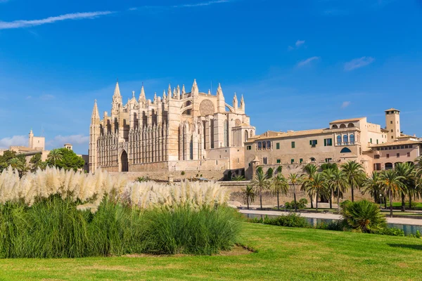 Majorca Palma Cathedral Seu Seo of Mallorca Royalty Free Stock Photos