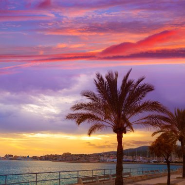 Palma de Mallorca sunset at port in Majorca clipart
