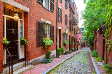 Meşe palamudu sokak Beacon Hill Arnavut kaldırımlı Boston