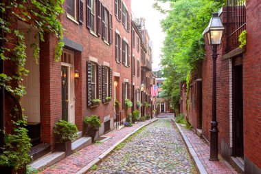 Meşe palamudu sokak Beacon Hill Arnavut kaldırımlı Boston