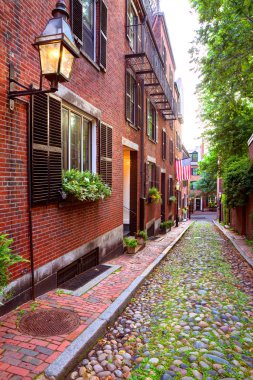 Meşe palamudu sokak Beacon Hill Arnavut kaldırımlı Boston