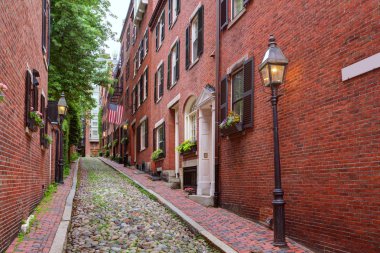 Meşe palamudu sokak Beacon Hill Arnavut kaldırımlı Boston