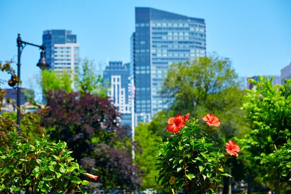 Boston Common park gardens and skyline — Stock Photo, Image