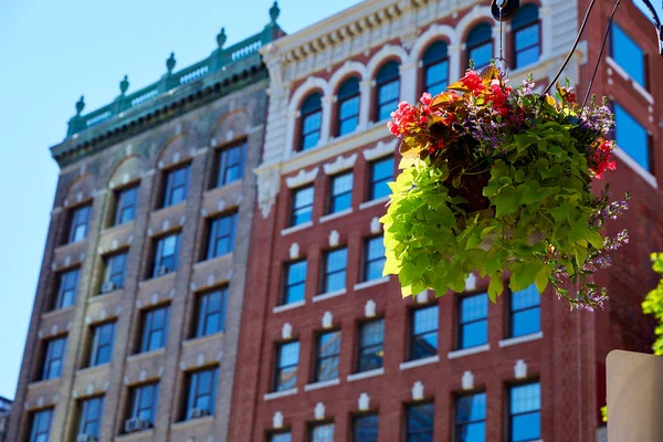 Boston streetlight blommor på Copley Square — Stockfoto