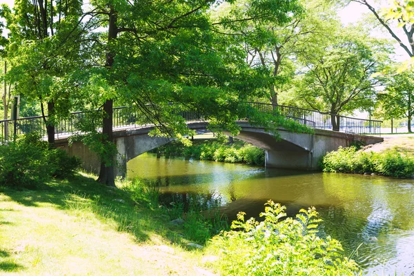 Boston Charles River w Esplanade — Zdjęcie stockowe