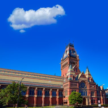Harvard Üniversitesi, Cambridge tarihi bina