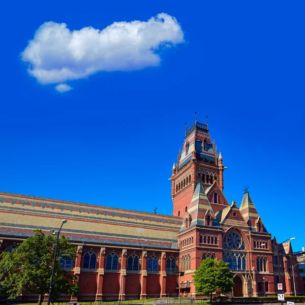 Harvard University historic building in Cambridge — Stock Photo, Image