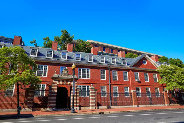 Universidade de Harvard em Cambridge Massachusetts — Fotografia de Stock