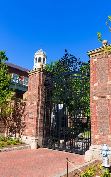 Harvardská univerzita v Cambridge Massachusetts — Stock fotografie