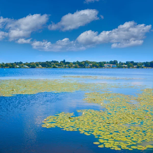 Lake Quannapowitt in Wakefield near Boston — Stock Photo, Image