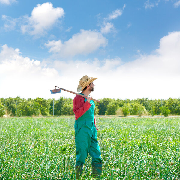 Farmer man with hoe looking at his field