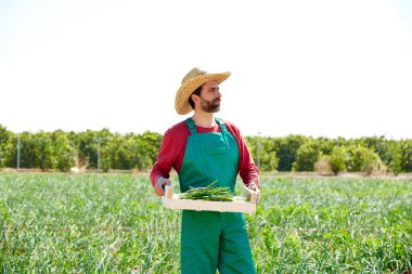 Meyve bahçesi alanı soğan hasat çiftçi adam