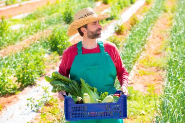 Sebze meyve hasat çiftçi adam