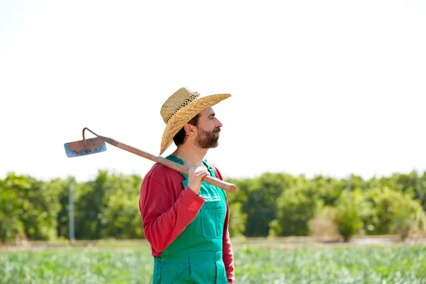 Фермер с мотыгой смотрит на поле — стоковое фото