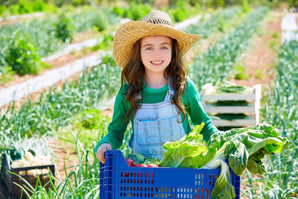 Litte menina agricultor criança na colheita de legumes — Fotografia de Stock