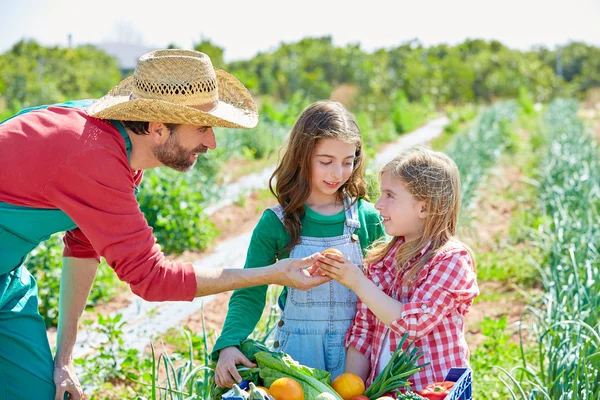 Agricultor mostrando colheita de legumes para meninas — Fotografia de Stock