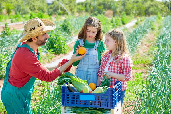 Agricultor mostrando la cosecha de verduras a niñas niños — Foto de Stock