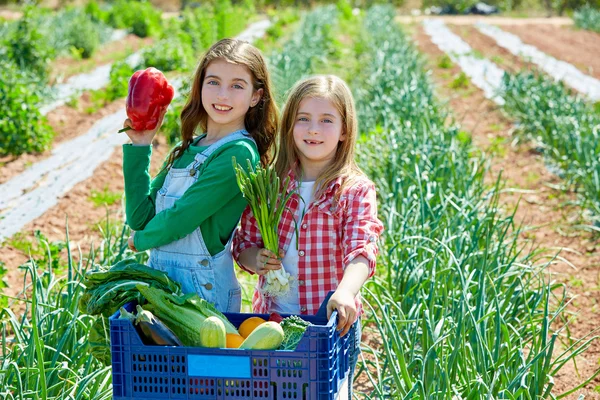 Niñas agricultoras en la cosecha de verduras — Foto de Stock